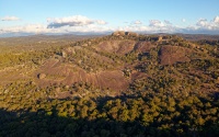 AUS - Girraween NP d0004